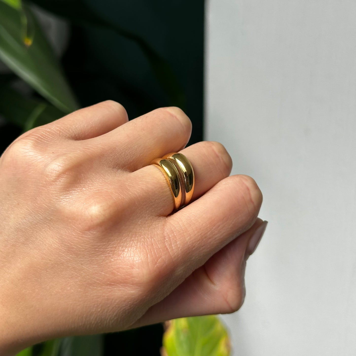 Anillo Salerno