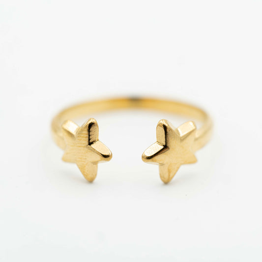 Anillo Estelar