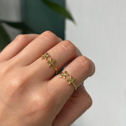 Anillo Aura