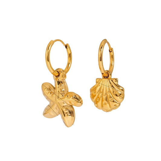 Aretes Concha Estrella