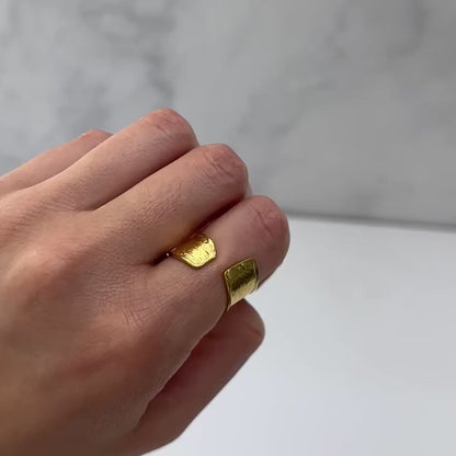 Anillo Luzia
